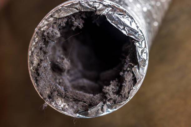 Best Emergency Air Duct Cleaning  in Frankfort, OH