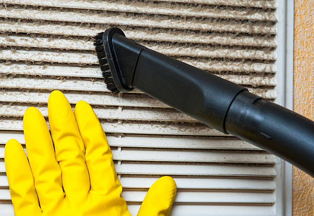Best Air Duct Sanitizing Services  in Frankfort, OH